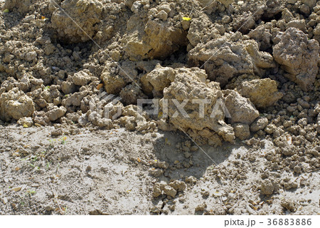 construction soil construction soil 36883886