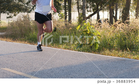 runner in the morning runner in the morning 36883954