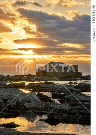 千葉県　江見太夫崎　漁師小屋の朝 36884546