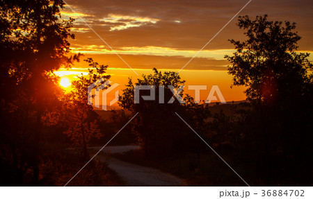 Sunrise in the early morning Sunrise in the early morning 36884702