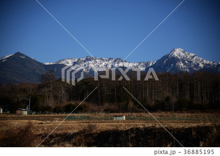 八ヶ岳　横岳　阿弥陀岳　山　雪山　冬山　アウトドア　長野　信州　自然　風景　雄大　晴天　快晴 36885195