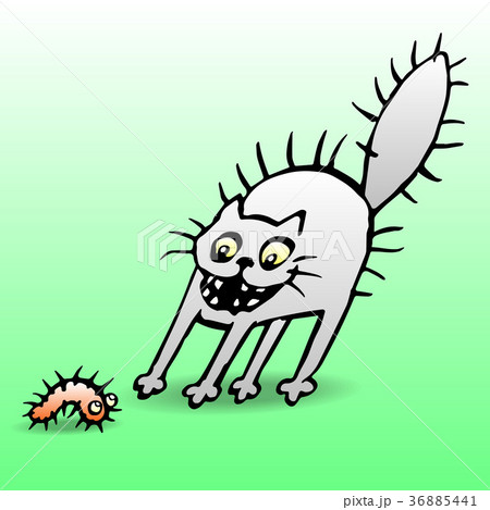 Cat in shock from seeing the caterpillar.  36885441