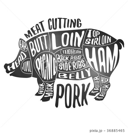 Meat cutting - pork. White chalkboard poster. Cut Meat cutting - pork. White chalkboard poster. Cut 36885465