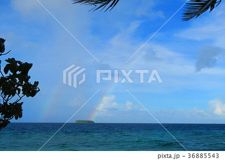 南国の虹 36885543