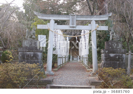 開成山大神宮 開成山大神宮 36885760