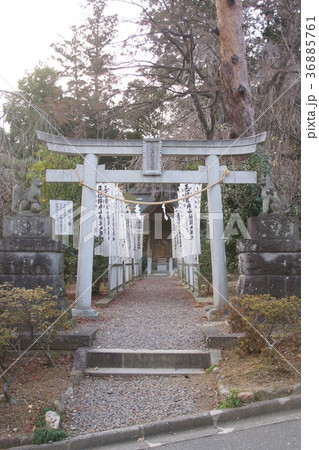 開成山大神宮 36885761