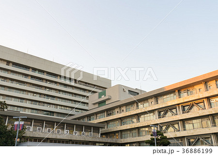 慶應義塾大学病院　 36886199