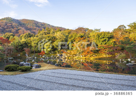 秋の天龍寺 秋の天龍寺 36886365