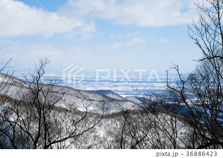 冬の日勝峠から見渡す十勝平野(北海道) 冬の日勝峠から見渡す十勝平野(北海道) 36886423