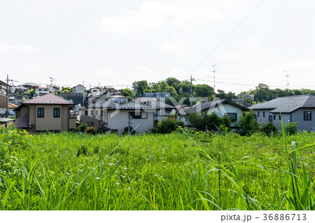 つつじヶ丘　草原　東京都　調布市 36886713