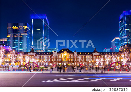東京駅　駅前正面からの夜景 36887056