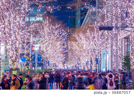 東京　丸の内仲通りのイルミネーション 36887057