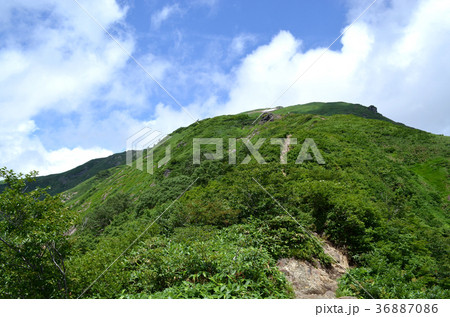 谷川岳登山道からの風景 谷川岳登山道からの風景 36887086