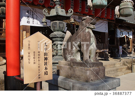 太平山神社 36887377