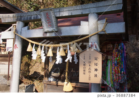 太平山神社 36887384
