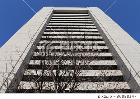 総務省・警察庁・国家公安委員会(中央合同庁舎第2号館) 総務省・警察庁・国家公安委員会(中央合同庁舎第2号館) 36888347