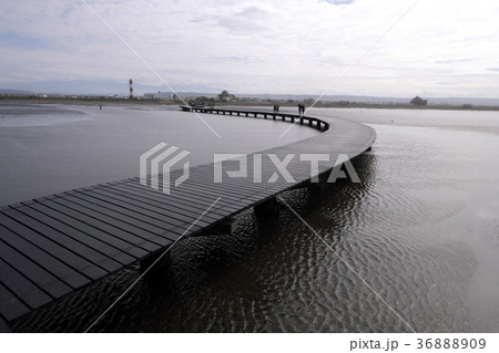 高美湿地 高美湿地 36888909