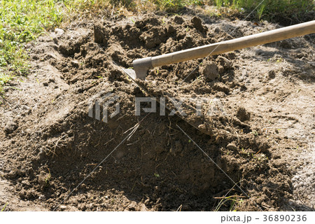 鍬で土を掘り起こしている所の写真素材