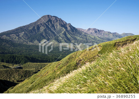 ススキの原と阿蘇山の高岳 ススキの原と阿蘇山の高岳 36890255