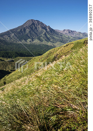 ススキの原と阿蘇山の高岳 36890257