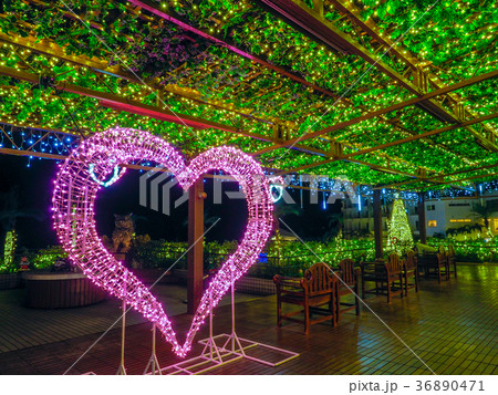 クリスマスイルミネーション クリスマスイルミネーション 36890471