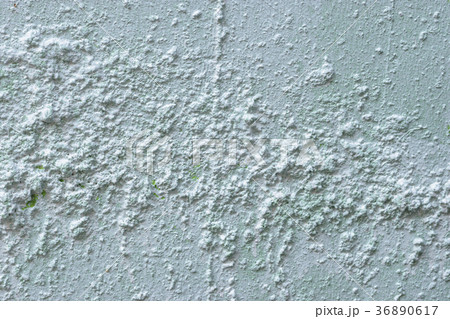 Plaster walls that have not been completed. 36890617