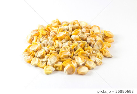 Close up pile of corn seeds on white background 36890698