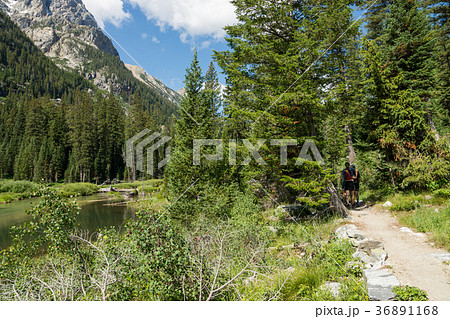 グランドティートン国立公園 36891168