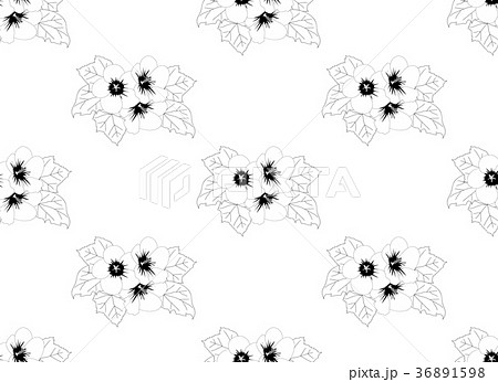 Hibiscus syriacus - on White Background Hibiscus syriacus - on White Background 36891598