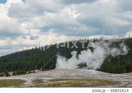 イエローストーン国立公園の間欠泉 36891614