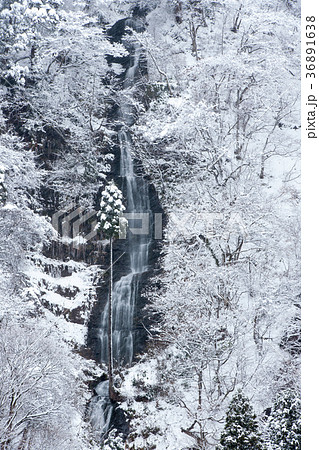 白糸の滝冬景色　山形県 36891638