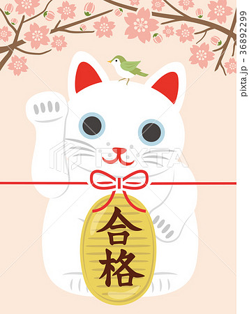 受験　招き猫の合格祈願 36892299