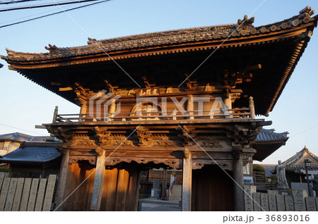 【四国八十八ヶ所】第十六番　観音寺　冬の朝日に染まる山門2　徳島県徳島市 36893016