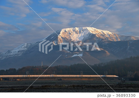 伊吹山と新幹線 36893330