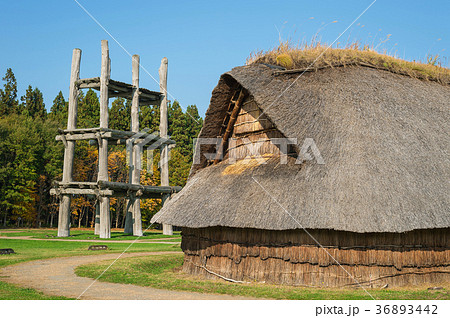 三内丸山遺跡 三内丸山遺跡 36893442