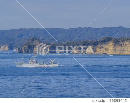 冬の勝浦湾の風景 36893445