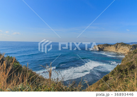冬の勝浦湾の風景 36893446