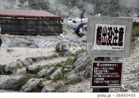 玉川温泉ラジウム岩盤浴 玉川温泉ラジウム岩盤浴 36893450