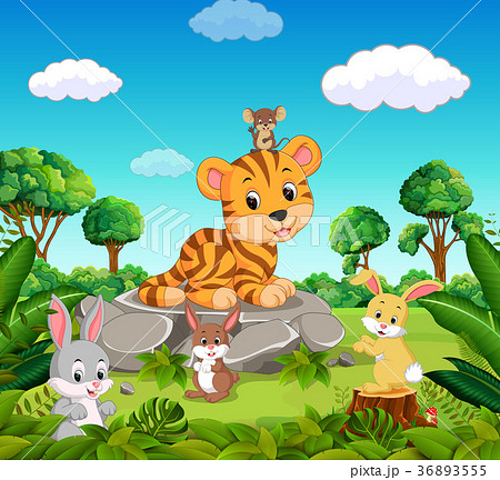 Tiger in the forest 36893555