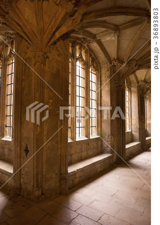 クライスト・チャーチ・カレッジ クライスト・チャーチ・カレッジ 36893803