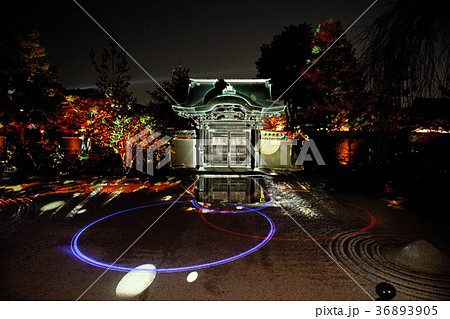 高台寺 秋2017 高台寺 秋2017 36893905