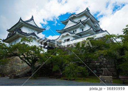 伊賀上野城 36893959