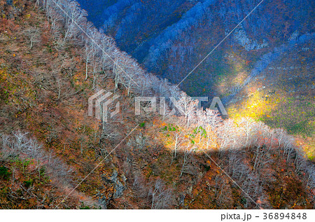 鳥海山　秋田県 36894848