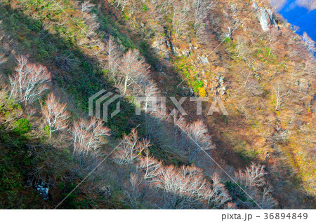 鳥海山　秋田県 36894849