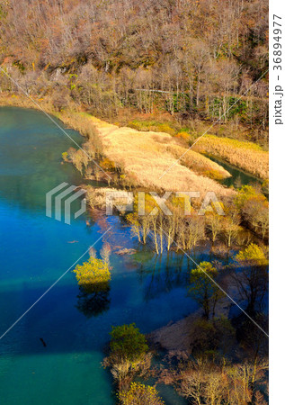 晩秋の秋扇湖　秋田県 36894977