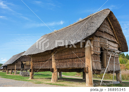 三内丸山遺跡 三内丸山遺跡 36895345