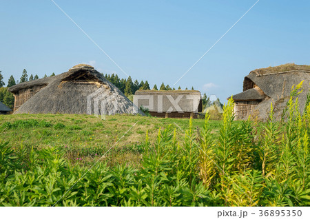 三内丸山遺跡 36895350