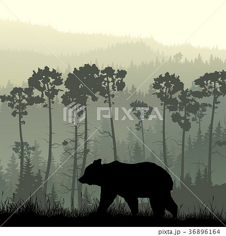 Square illustration of bear on grassy hillside. 36896164