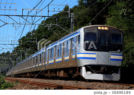 E217系 エアポート成田 36896189