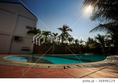 Bottom View Large Clear Pool among Green Palm Tree Bottom View Large Clear Pool among Green Palm Tree 36896229